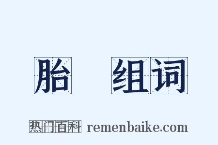 胎鰕组词是什么意思的图片